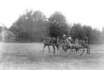 Lees Farm cart driving just south of present-day Lees Ave. - no date