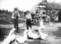 Lees Farm children - farm buildings were just south of present-day Lees Ave. - no date