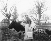 Bellar Millar and cows - nodate