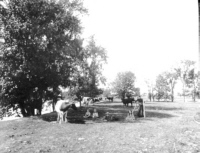 O'Dell pasture near river with children 1896